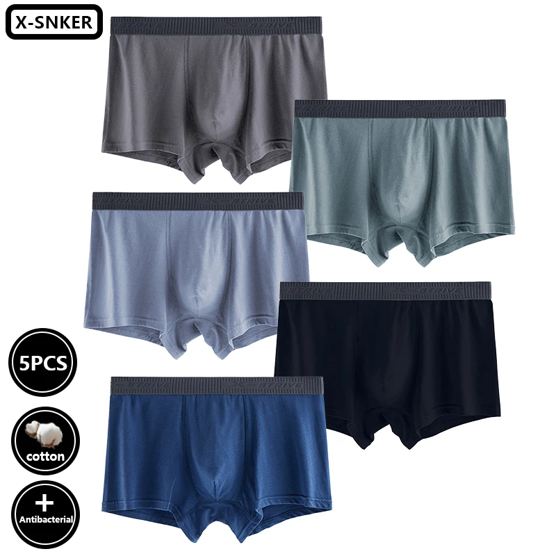 Mens Color Underwear Boxer Shorts Cotton Sexy Male Panties Lingerie Man Underpants Boxershorts L-4XL 365 Boxers 5Pcs