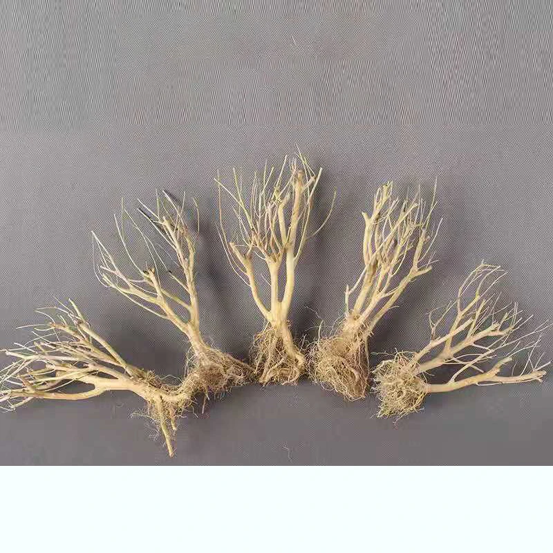 Аквариумный мох аквариумный украшение для аквариума аксессуары дрифта