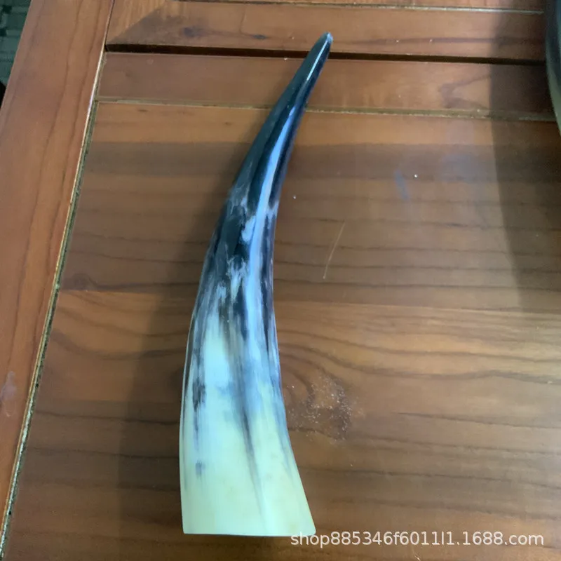 Рог для крупного рогатого скота с изображением черепа яка