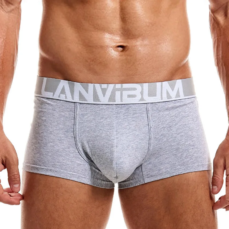 

Боксеры мужские с заниженной талией, Брендовое нижнее белье, пикантные Трусы из чистого хлопка, повседневные шорты-боксеры U-формы