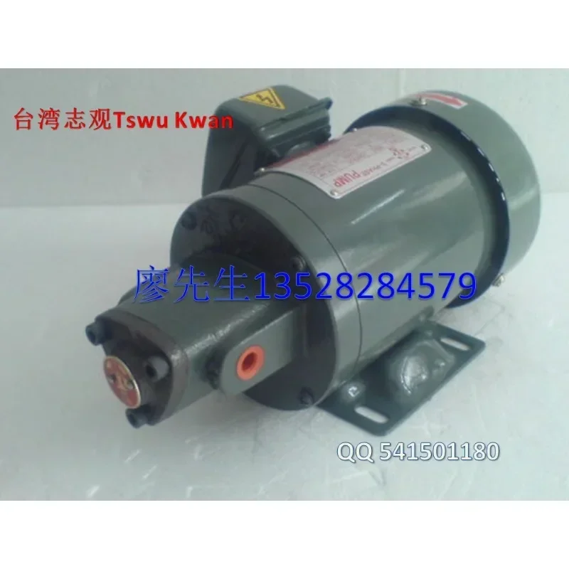 Прецизионная машина Taiwan Zhiguan TSWU KWAN насос с прямым подключением масляный железным