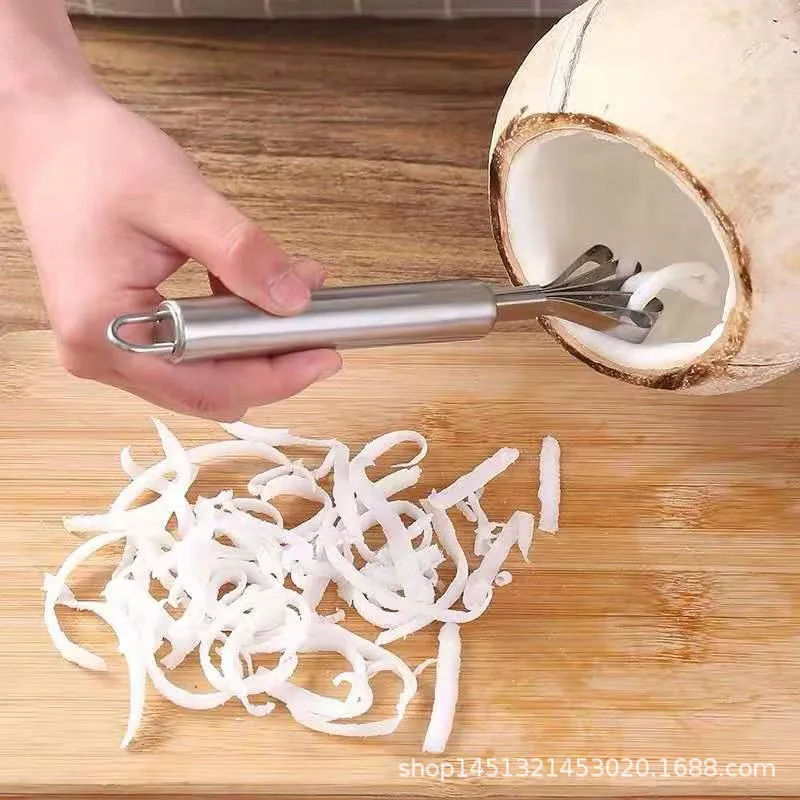 Coconut Shredder Coconut Shaver Household Coconut Meat Extractor Fish Scale Peeler