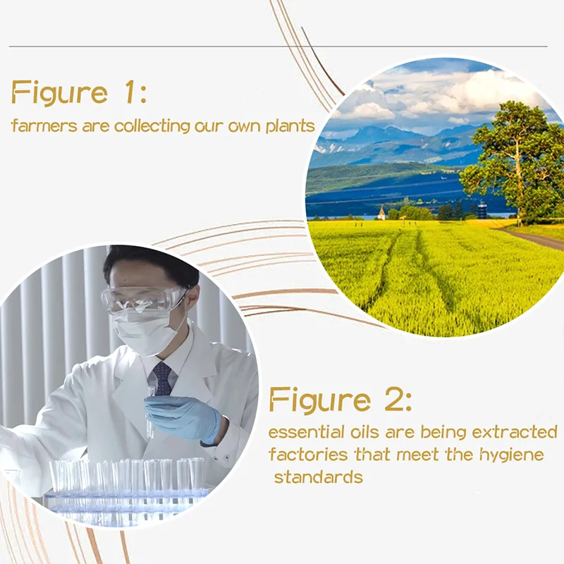 100 мл чистый Маслорастворимый Лаванда для отеля спа эфирные масла ароматического