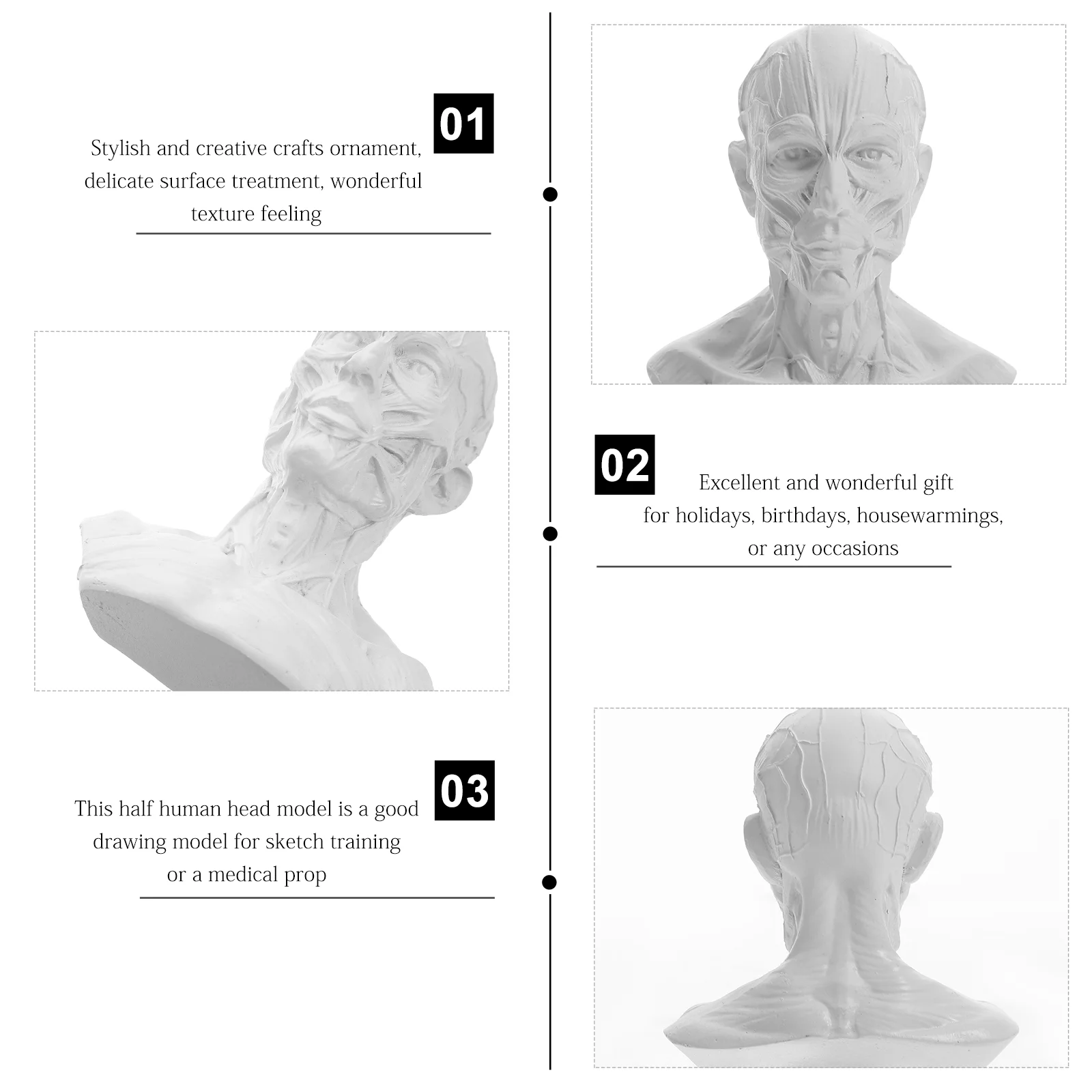 Эскиз Статуя Манекен Модель Смола Анатомия Череп Голова Декор Художник Рисунок
