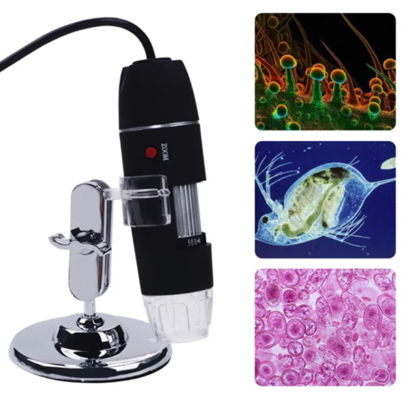 

USB Electronic Microscope LED Illuminated 1000X Digital Magnifying Glass Jewelry Coin Identify