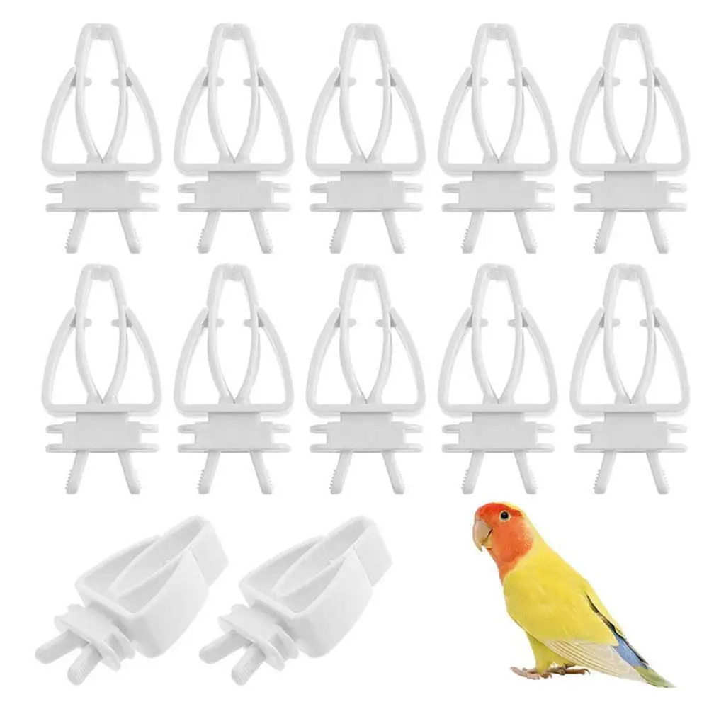 

NEW 12pcs Parrot Birds Food Clip Bird Cage Feeder Vegetable Fruit Clips For Canaries Cockatoos Finches