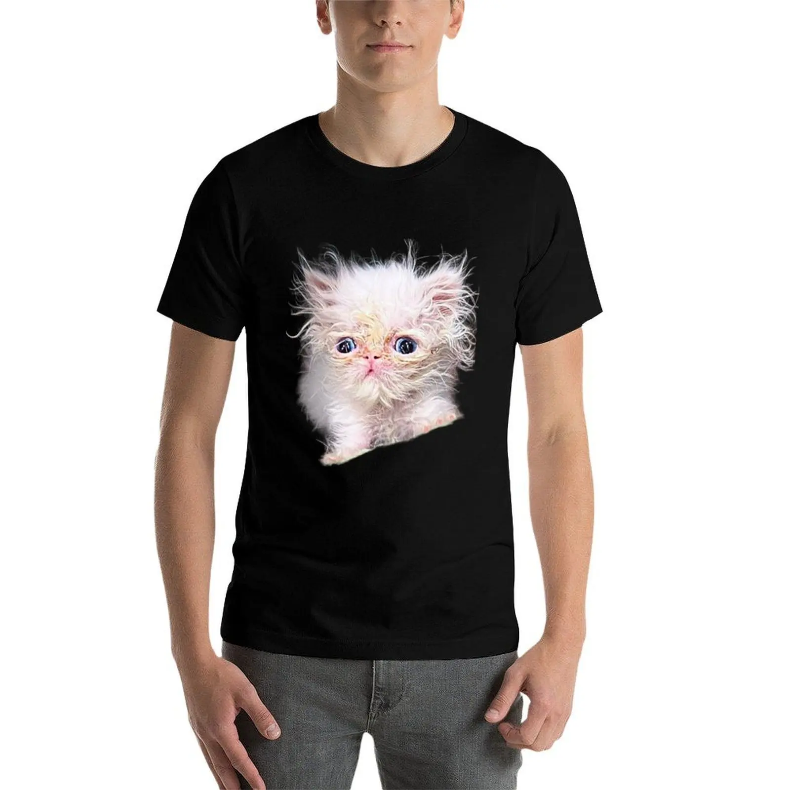Фото Футболка Wisp Cat, повседневная, из мягкого хлопка, с коротким рукавом. №4