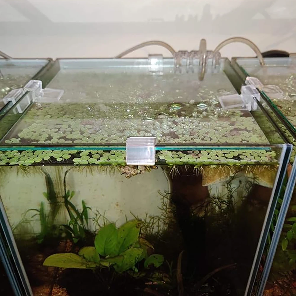 4 шт. прозрачный акриловый держатель для аквариума 6/8/10/12 мм