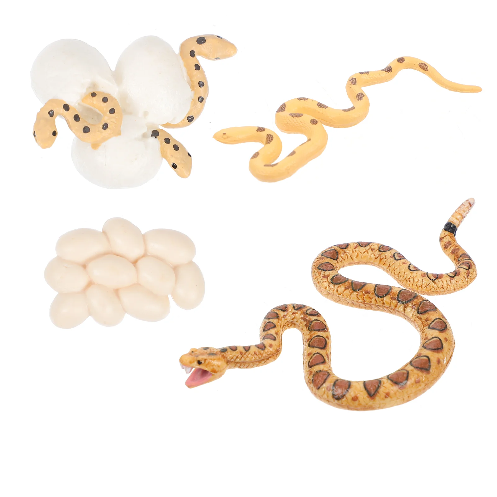 

Snake Prop Snake Toys for Kids Snake Toys for Kids 8- 12 Prank Toys Rattlesnake Toy Life Cycle Figurines
