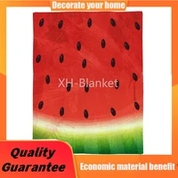 fleece blankets throw couch bed sofa warmsoft microfiber plush reversible all season blanket for adultskids watermelon