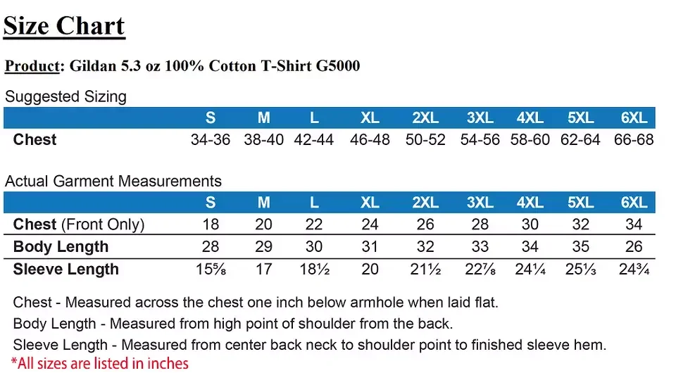 Футболка AIDEN с надписью World By Storm