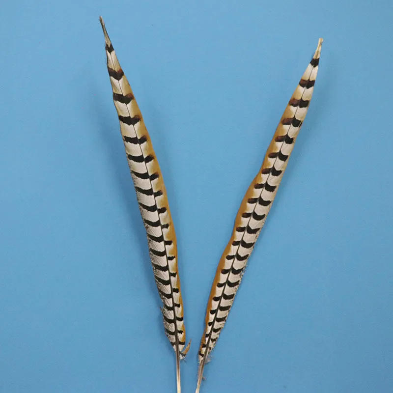 

25Pcs 70-80CM Natural Reeves Pheasant Tails Feathers Real Lady Amherst Pheasant Chicken Plumes For Wedding Carnival Decorations