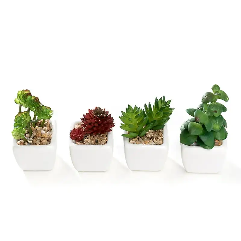 

of 4 Mini Artificial Succulent Plants Potted in Cube-Shape White Ceramic Pot