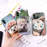 hedgehog cute animal phone case for iphone 12 11 13 7 8 6 s plus x xs xr pro max mini shell