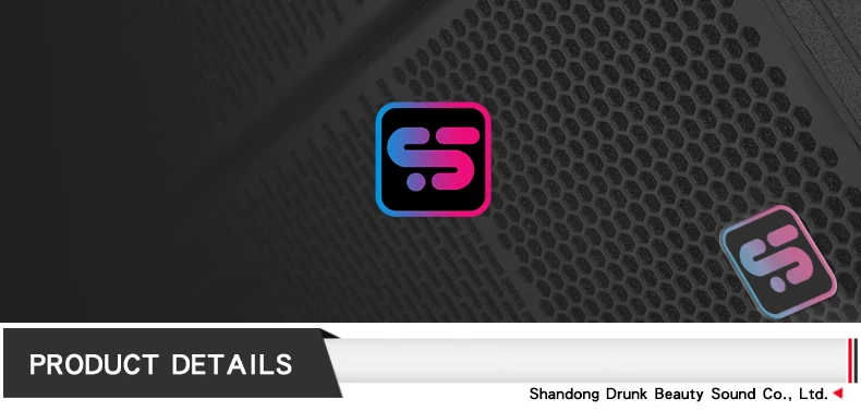 Фото Высококачественная акустическая система ZMS Audio V5 Line Array с неодимовыми динамиками для профессионального аудио, видео и освещения №5