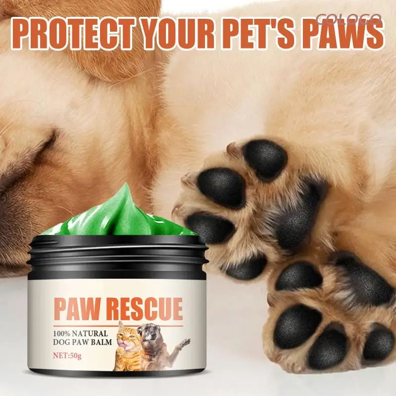 How Can I Protect My Dogs Paws From Heat
