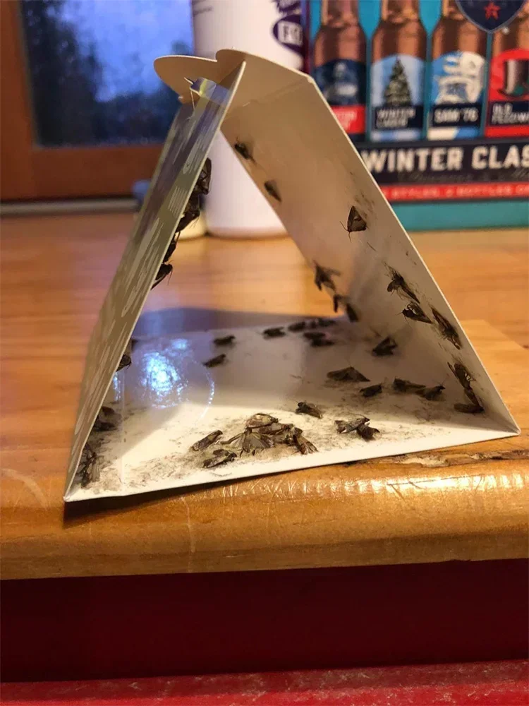 12 шт. тканевая клейкая ловушка для моли приманка моль сильная гелевая пластина