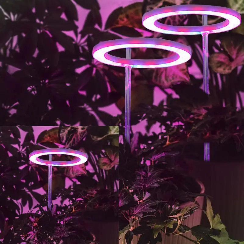 

Кольцевая фотолампа для выращивания растений