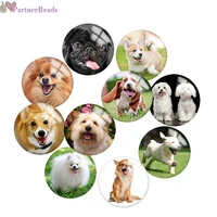 dog round photo glass cabochon demo flat back making findings 20mm snap button n2931