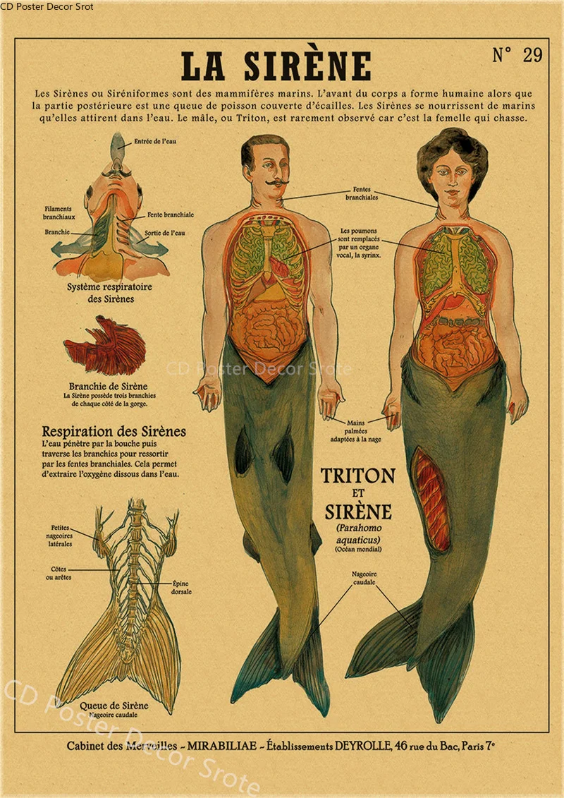 Ретро-постер любопытных существ Русалка птица динозавр крафт-бумага винтажный