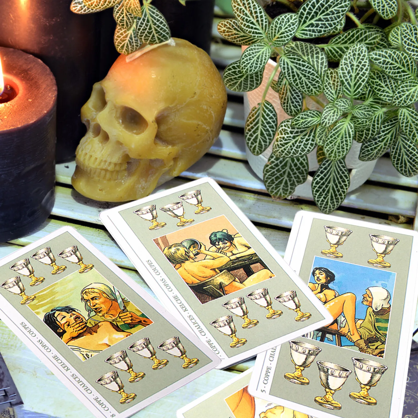 

Decameron Tarot Cards Tarot Cards Deck In A Tin Box Gilded Edge Tarot Cards In A Tin Box For Beginners Fortune Telling Game Card