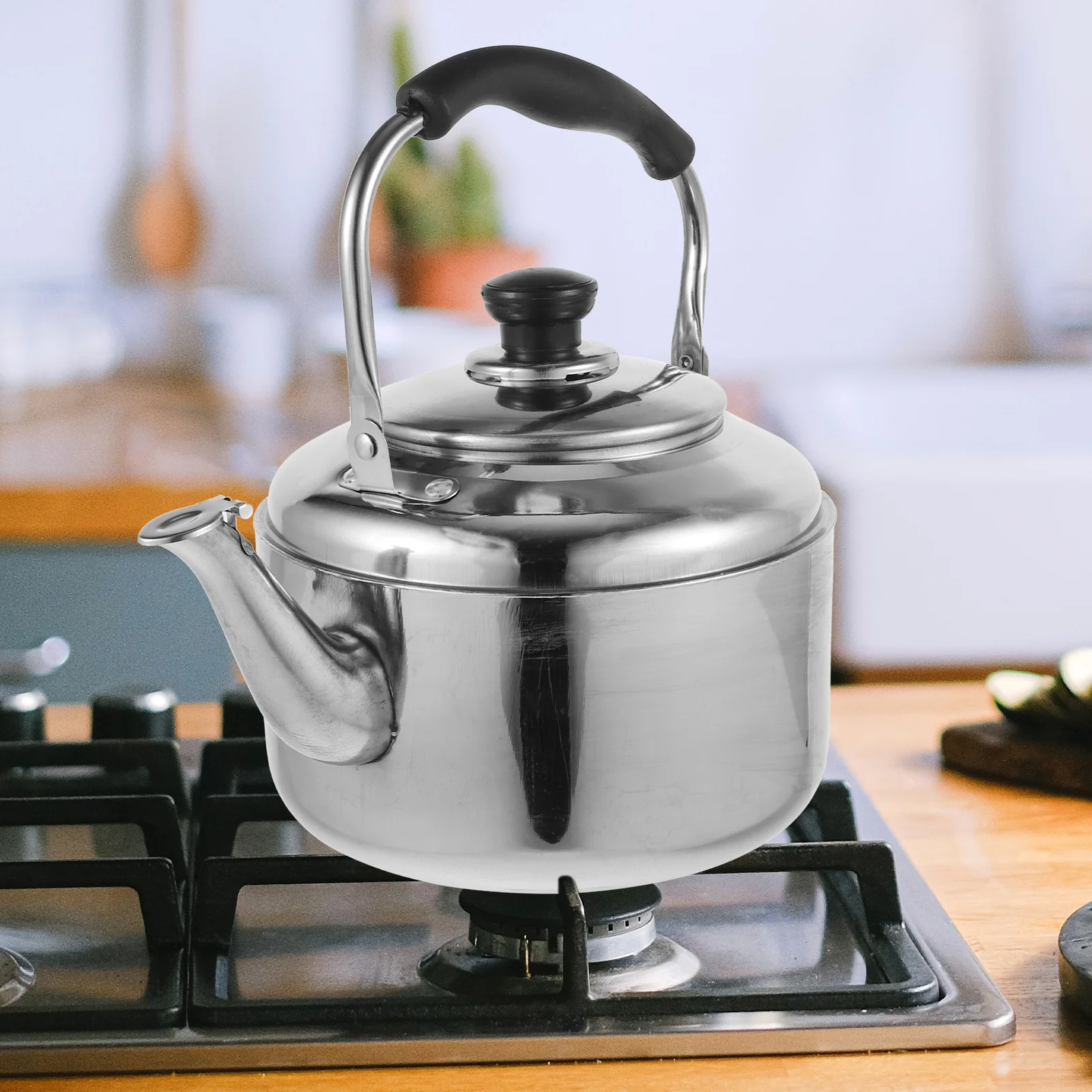 

Stainless Steel Kettle Stovetop Tea Anti-scalding Handle Household Coffee Carafe