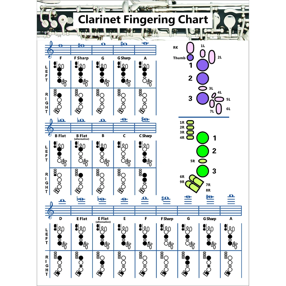 

Art Paper Basic Clarinet Fingering Chord Poster for Beginner Practice Learning Clarinet Fingering Chart Instrument Accessories