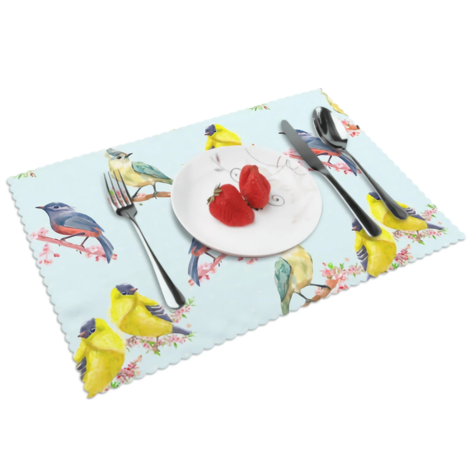 

Cute Bird Placemats for Dining Table 12 x 18 inches Heat Resistant Table Placemats Set of 4 for Kitchen Dining Table
