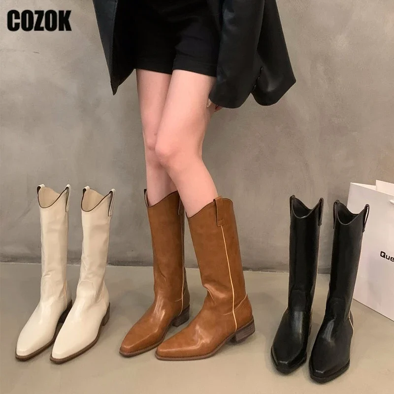 

Женские ковбойские сапоги до середины икры, Винтажные ботинки на толстом каблуке, без застежки, обувь В рыцарском стиле для осени и зимы, 2023