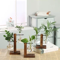 hydroponic plant terrarium wooden frame transparent vases glass tabletop bonsai home decorations