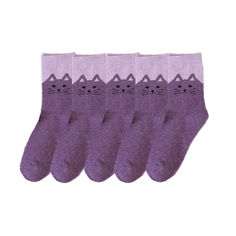 Носки женские теплые из кроличьей шерсти, модные утепленные цветные носки до середины икры в стиле ретро, с мультяшным рисунком, 5 пар, Осень-зима