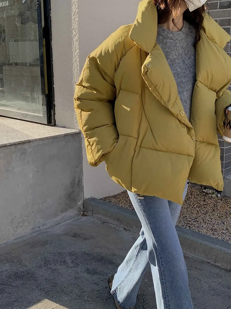 Korean Version of The Loose Stand Collar Thickened Down Jacket Women's Winter Small Popular New Thin Short Jacket Puffer Jacket