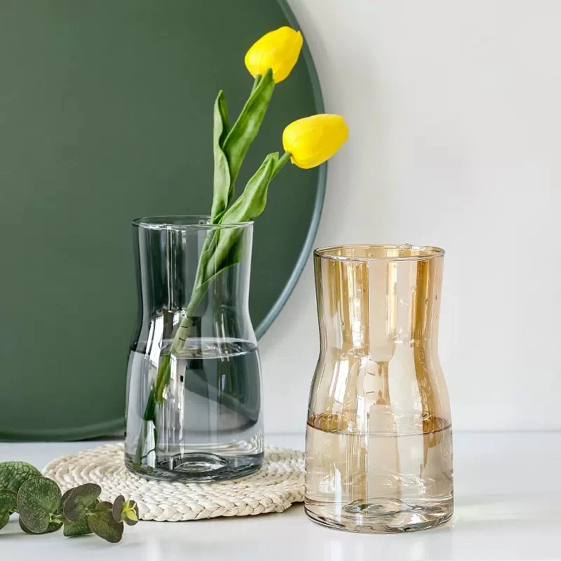 Скандинавские стеклянные вазы креативные градиентные простое украшение сушеные