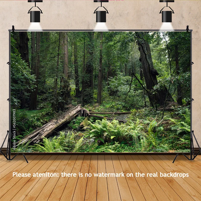 Мох покрытый опалыми деревьями зеленого хвойного леса фон для фотосъемки