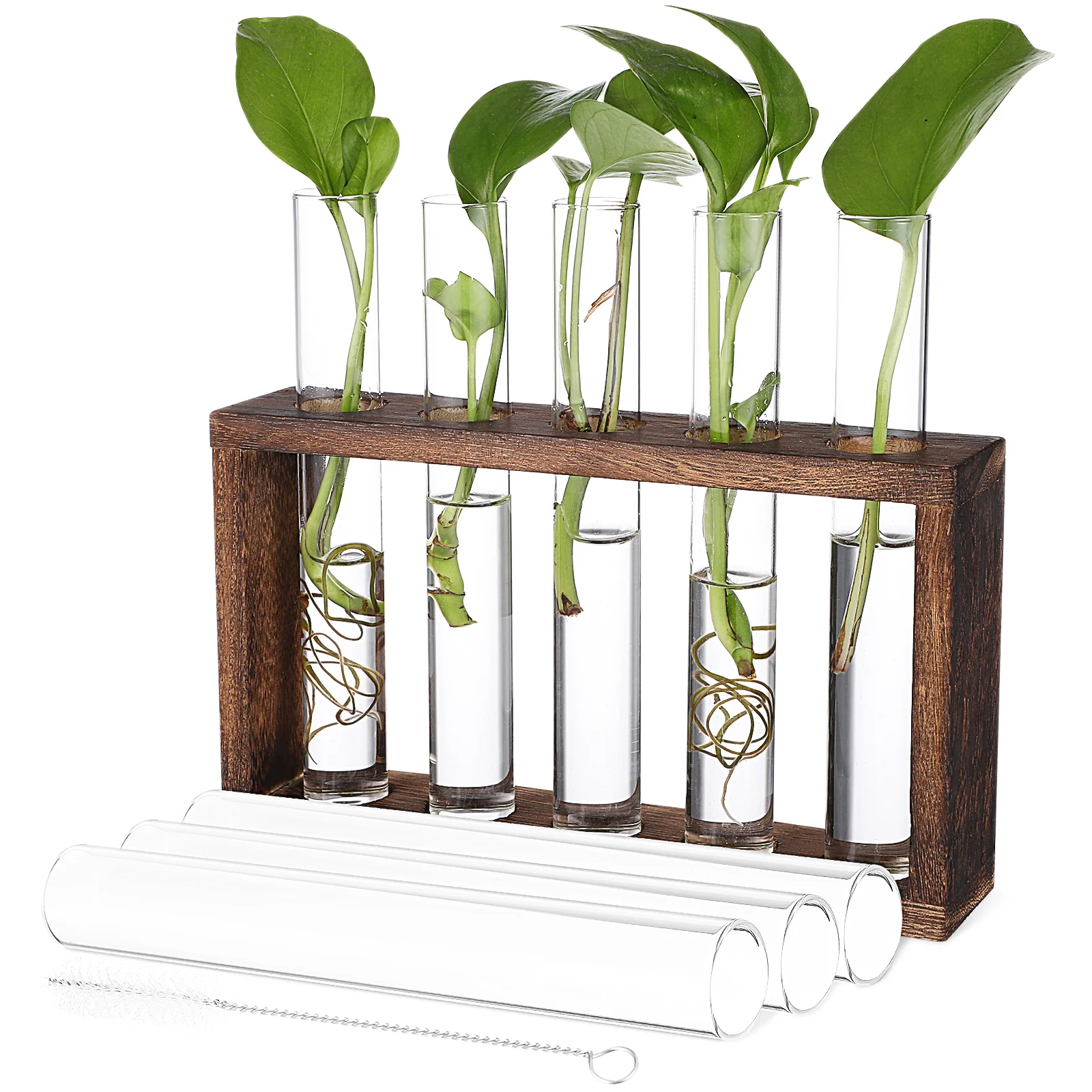 

Propagation Tubes Test Wall Hanging Vase Station Planter Tube Hydroponic Rack Stations Stand Propagating Terrarium Wood Wooden