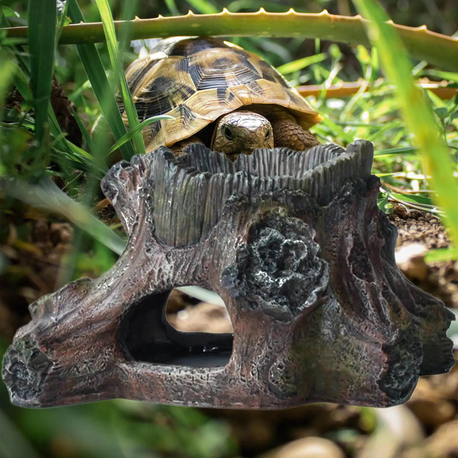 

Аксессуары для украшения аквариума, домик для рептилий, смола, укрытие, пещеры, украшения, товары для сада, Бета, пруда