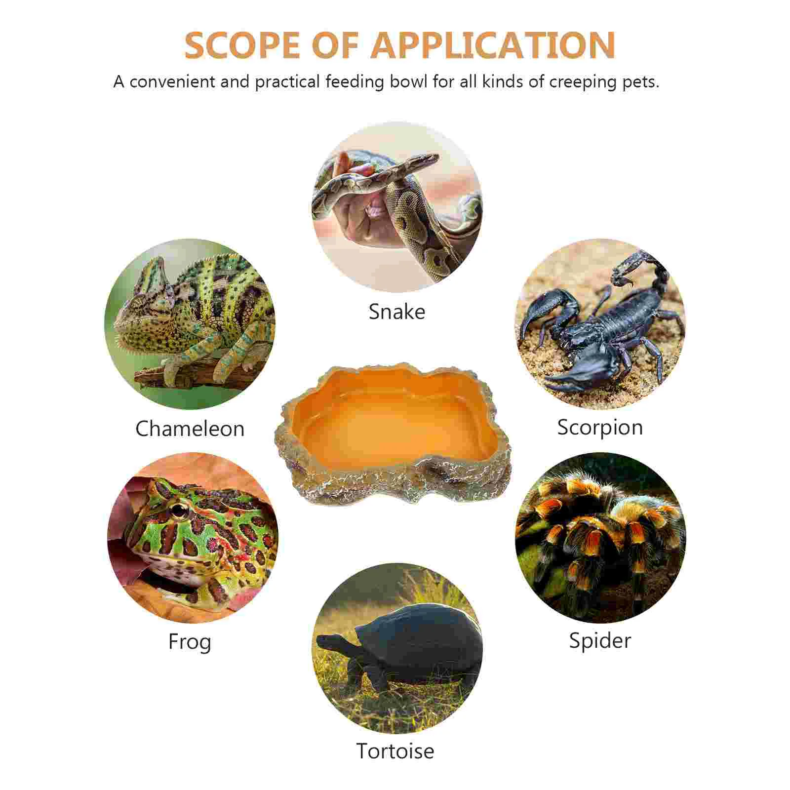 Черепаха еда рептилия тепловая лампа чаша для скалолазания миска домашних