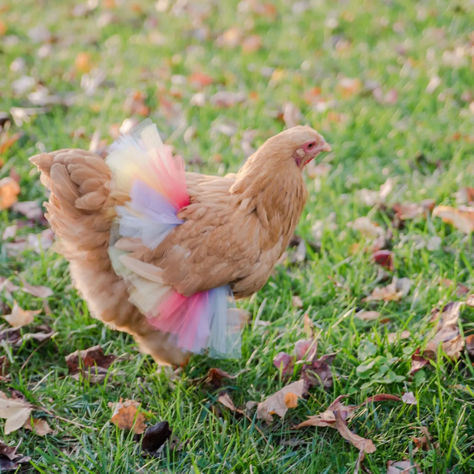 

Юбка-пачка для Хэллоуина