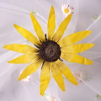 120pcs500pcs dried flowers rudbeckia hirta pressed flower scrapbooking diy resin jewelry crafts nails decor candle soap making