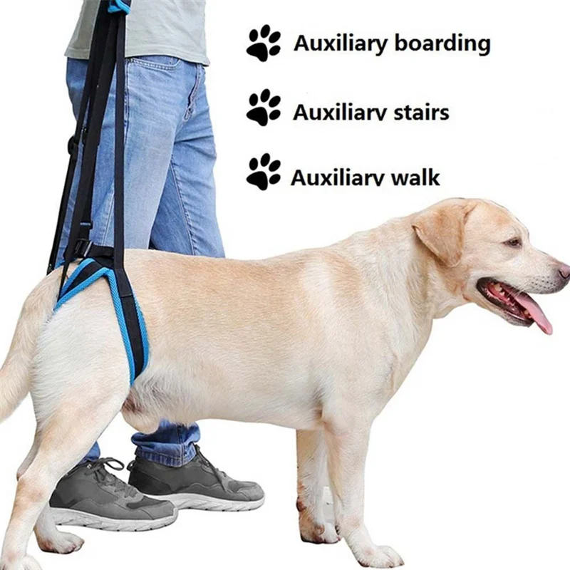 

Adjustable Dog Lift Harness For Back Legs Puppy Auxiliary Harness Assist Pet Belt Harness Support Sling Help Weak Legs Stand Up