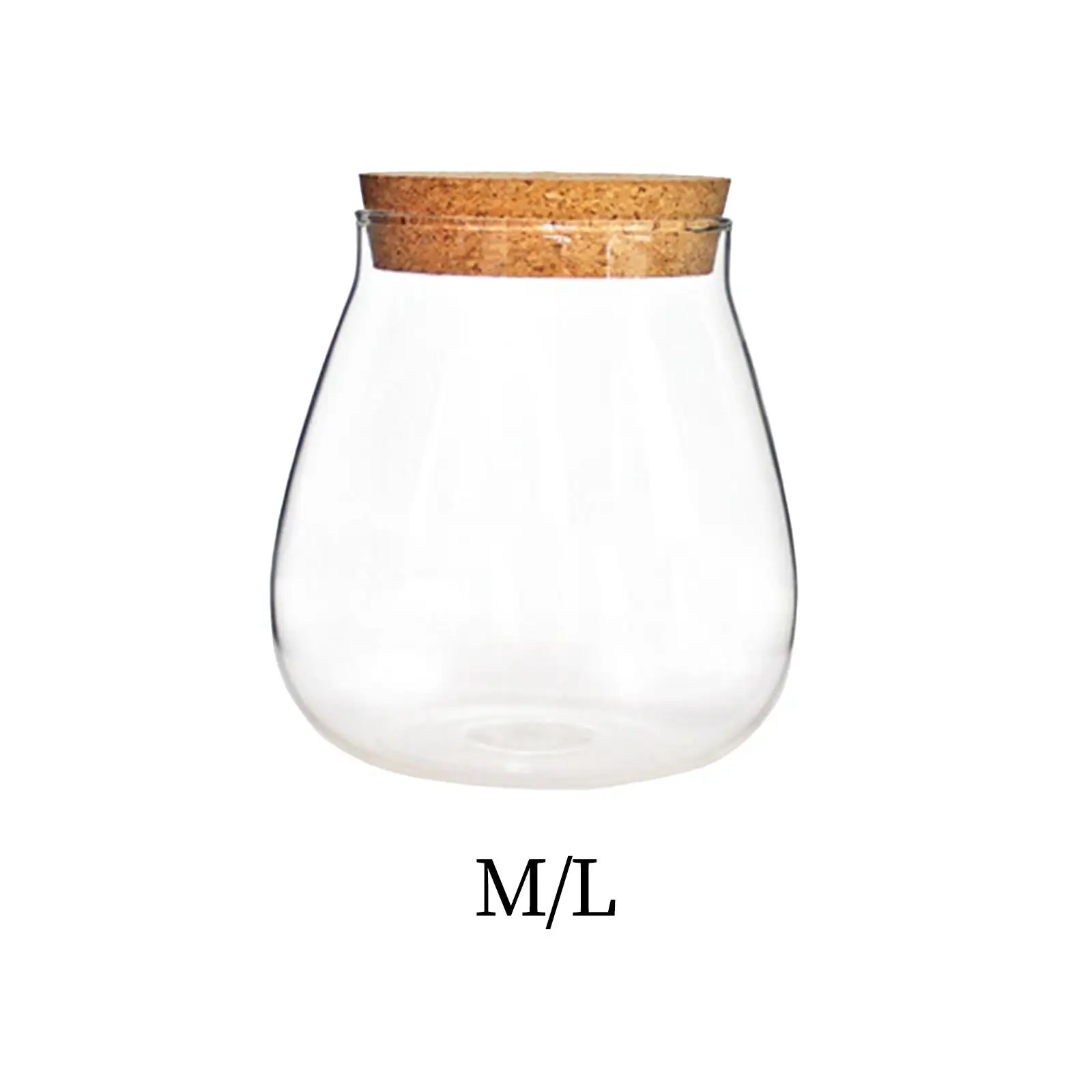 

Glass Flower Vase Landscape Pot Plant Holder Small Potted Storage Jar Planter Terrarium Bottle for Office Desk Kitchen Decor