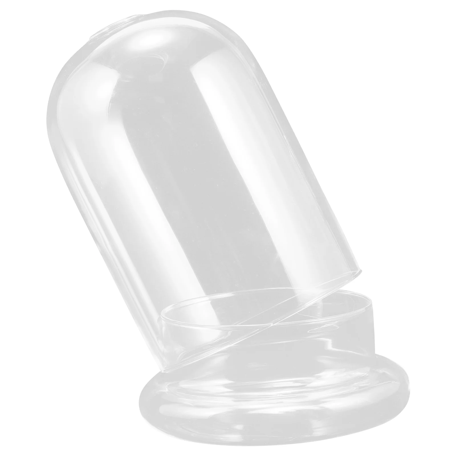 

Display Cabinet Glass Dome Covers Base Case Flowers Small Creative Decor Cloche