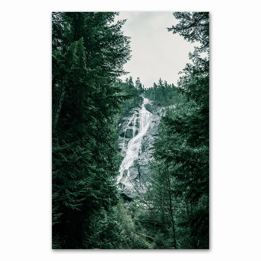 

Картина "Лесной водопад, мост" AliPaint