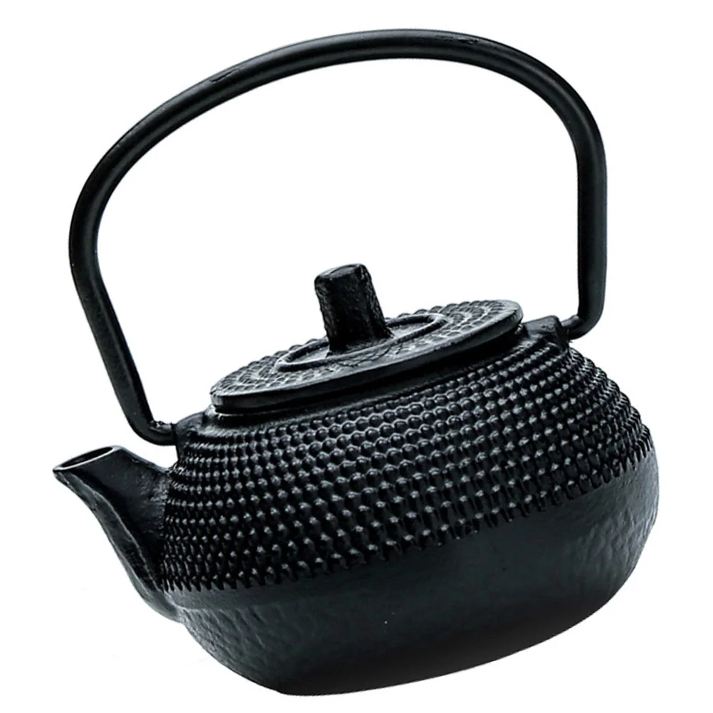 

Small Cast Teapot Small Japanese Tetsubin Tea Kettle with Stainless Steel Infuser Chinese Kungfu Gongfu Tea Set for Home Black