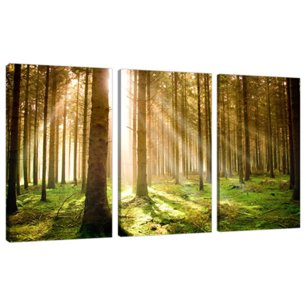 

3Pcs Green Trees Landscape Sunset Forest Posters Wall Print Art Canvas Picture Home Decor Paintings for Living Room Decoration