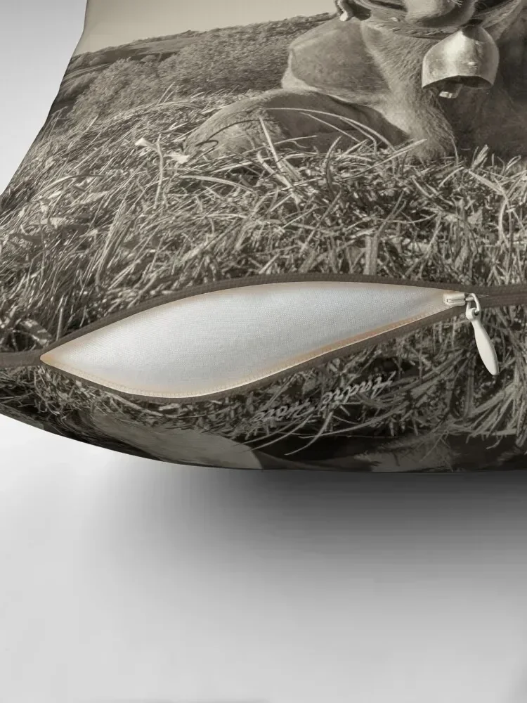 Диван Тарин. подушка с ромом_ 1150696 Декоративная для дивана наволочка