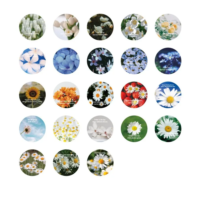 

46pcs/box Boxed sticker plant art hand account decoration flower blooming mountain white daisy blue 45MM