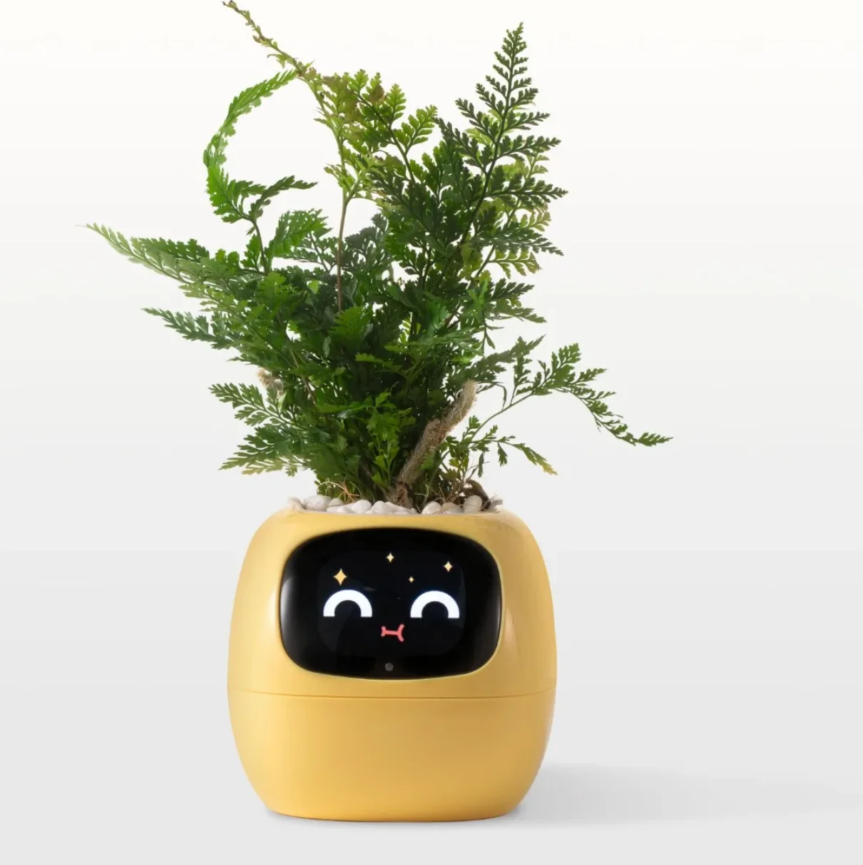 Smart Plantator Ivy от Zoeydam Infinite Happiness с 49 выражениями 7 интеллектуальных датчиков и чипсов