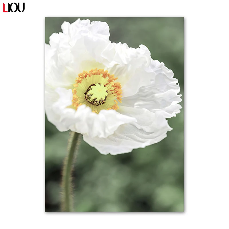 Солнечное поле Гора Цветок Пыльногоца Художественная картина на холсте Постеры и печати в стиле Нордик для декора гостиной.