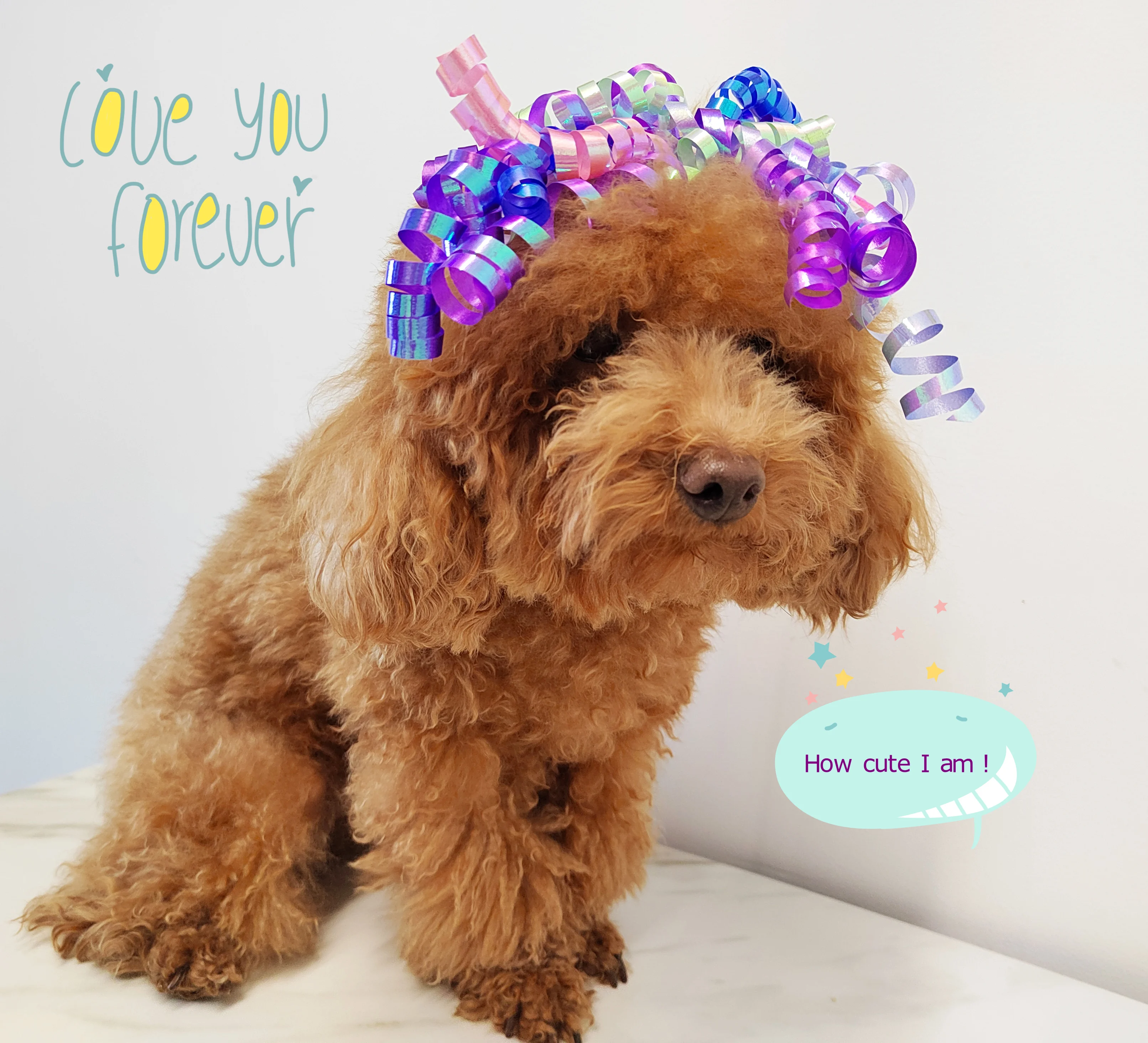 6 шт. самоклеящиеся аксессуары для упаковки подарков